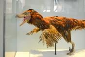 manchester museum 9-2023 8885
